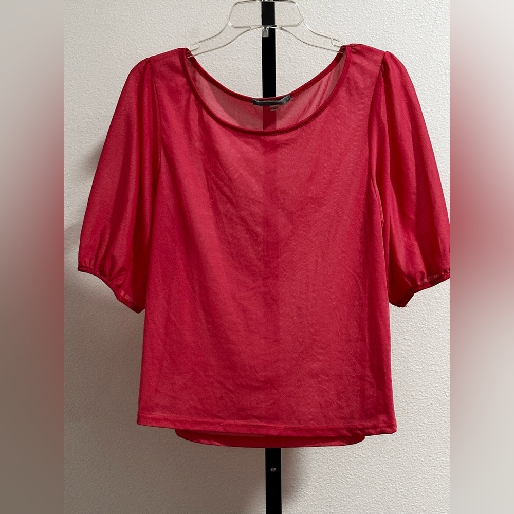 Julie’s closet size large see through pink shirt